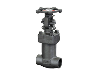 1576830205600096.png 鍛鋼閥門